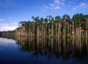 Sandoaval lake.