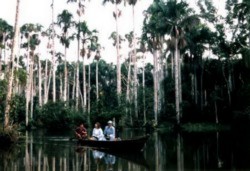 Manu National Park