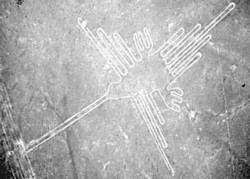 Nazca Lines